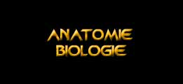 Anatomie et biologie