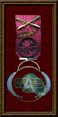 Médaille de la Distinction Libris