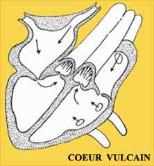 Coeur Vulcain