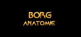 Les Borgs / Anatomie