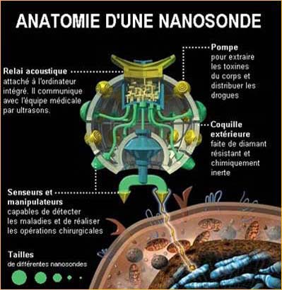 Anatomie d'une Nanosonde