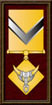 Médaille du Toduje